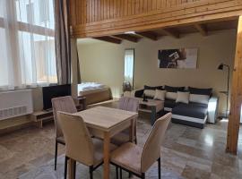 Downtown Apartman - Friends, Hotel in Győr