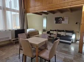 Downtown Apartman - Friends