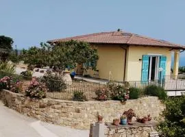Zefiro Azzurro