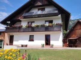Apartma pri Bregarju
