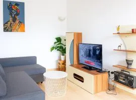Appartement climatisé et cozy-C1