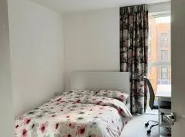 Cozy Modern Room In London