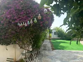 Hostl - Beds & Rooms - The Hostel Inn Paphos, Old Town