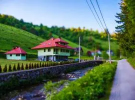 Bjelasnica Alpine Retreat - Cozy Mountain House near Sarajevo