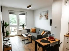 Apartament Jemiołuszki