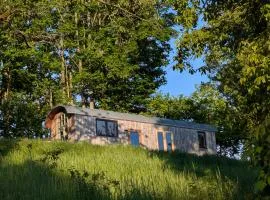 Tiny House - Natur und Komfort