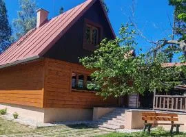 Cabin near forest