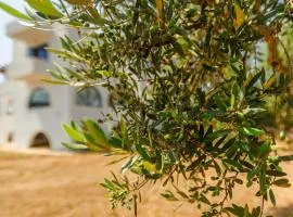 Olive Tree Horizon