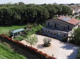 La Pineta del Borgo