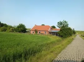 Huus van Dykster 45262