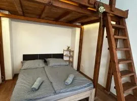 Central Apartment