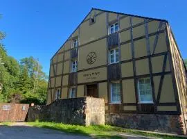 Stary młyn nad Tywą