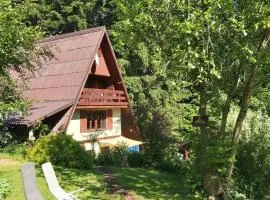 Squirrel cottage