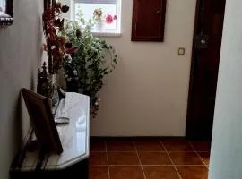 Casa da Avenida
