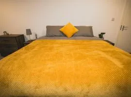 Large Room in Shared House
