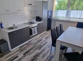 Wohnung mit 5 Zimmern