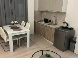 Apt 2- Sokobanjica apartmani