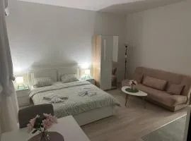 Apt 7- Sokobanjica apartmani