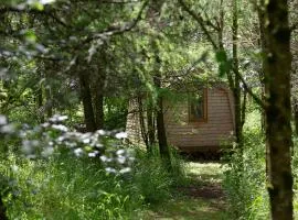 Cwtch Woodland Camp