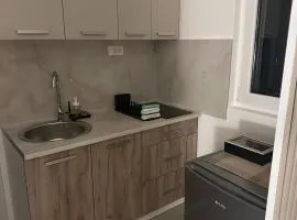 Apt 6- Sokobanjica apartmani