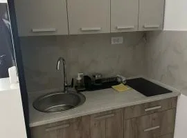 Apt 3- Sokobanjica apartmani