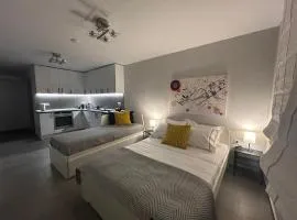 Αεί Κάριανη 1