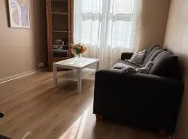 Leilighet Vikeland- single 2 bedrooms apartment