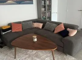 Cozy apartment with garden, massage