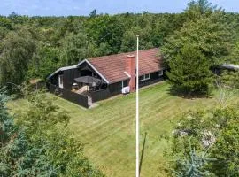 Amazing Home In Skjern With Wifi