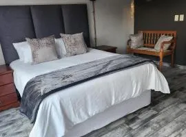 Modern Comfort at 44 Biddulph