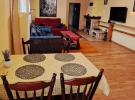 Apartament Alcatraz 90m z kominkiem Kamienna Góra