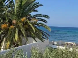 Maya House - Villa Cap Zbib