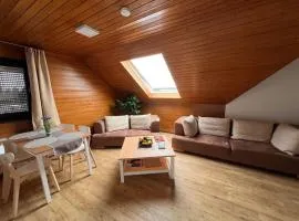 Ferienwohnung in der nähe von Europapark Kehl