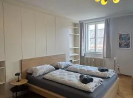 cozy big old town apartment