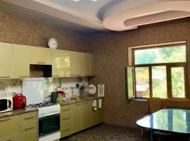 Muassanit House - Onix