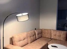 An upscale apartment in the middle of the city