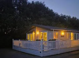 Platinum Deluxe K9 Lodge