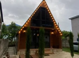 Cottage Eco house