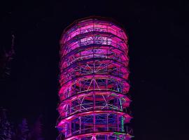 Apartamenty pod Dzikowcem