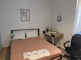 GREEN STUDIO