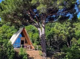 Glamping Fonte Murata