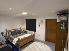 Bright and Spacious Entire One Bedroom Apartment with Living Room and Private Garden