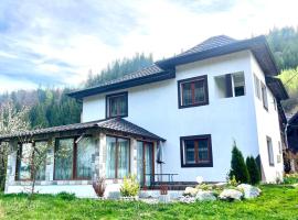 Casa Ovidiu, hotel v destinaci Pojorîta