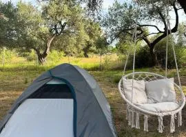 Camping Qeparo
