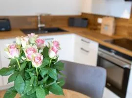 Villa Dornkamp 5 - Luxuriöse Ferienwohnung für 2 Personen inklusive Sauna und Balkon
