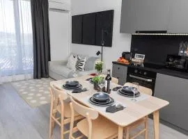 Sky Retreat Studio Baile Felix with Parking