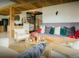 Chalet Paralpin - OVO Network