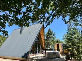 Villa Lazar, ξενοδοχείο με υδρομασάζ σε Žabljak