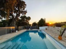 Paxos Dream House
