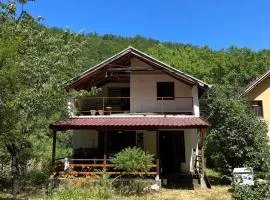 Apartmani Radulovic
